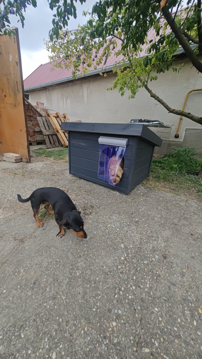 Extra hőfüggöny  kutyaház bejáratára – ThermoShield